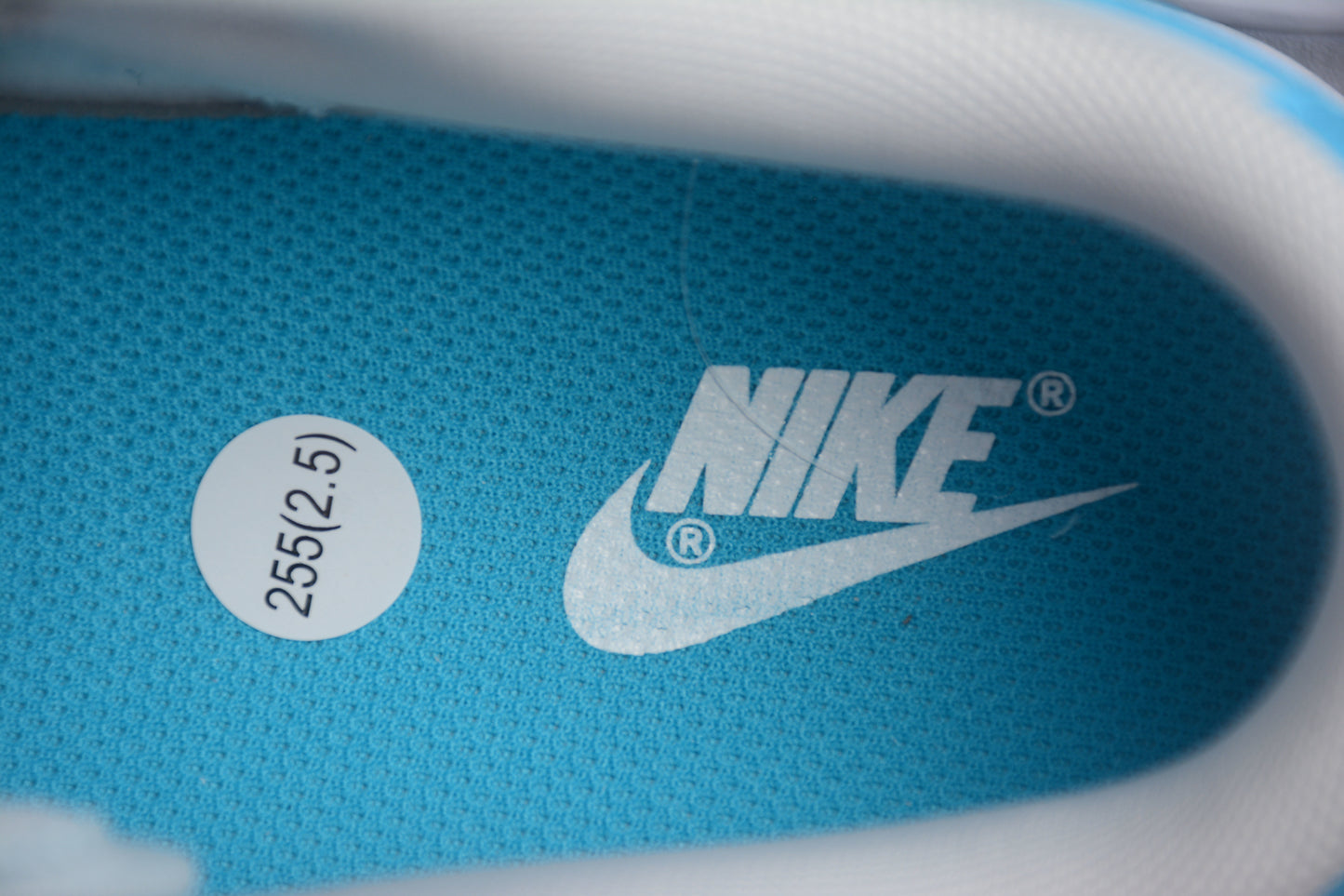 Dunk Low blanco y azul cielo