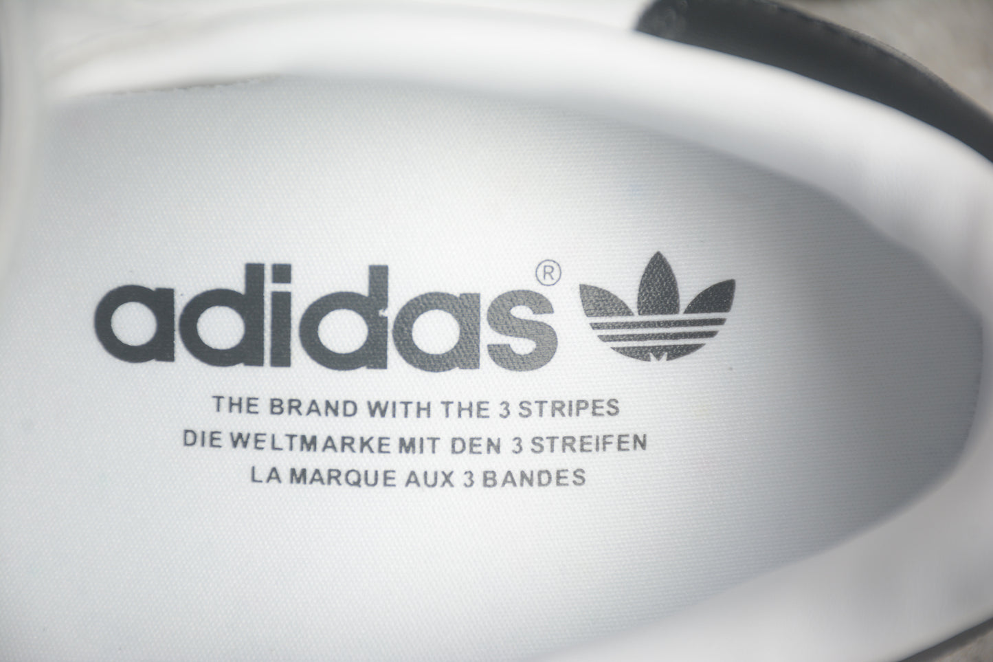 Gazelle blanco y negro