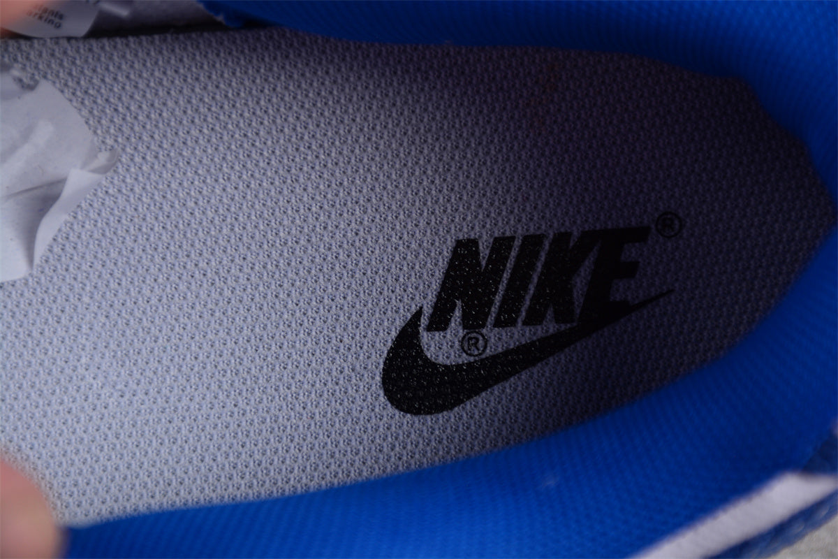 Dunk Low azul y blanco