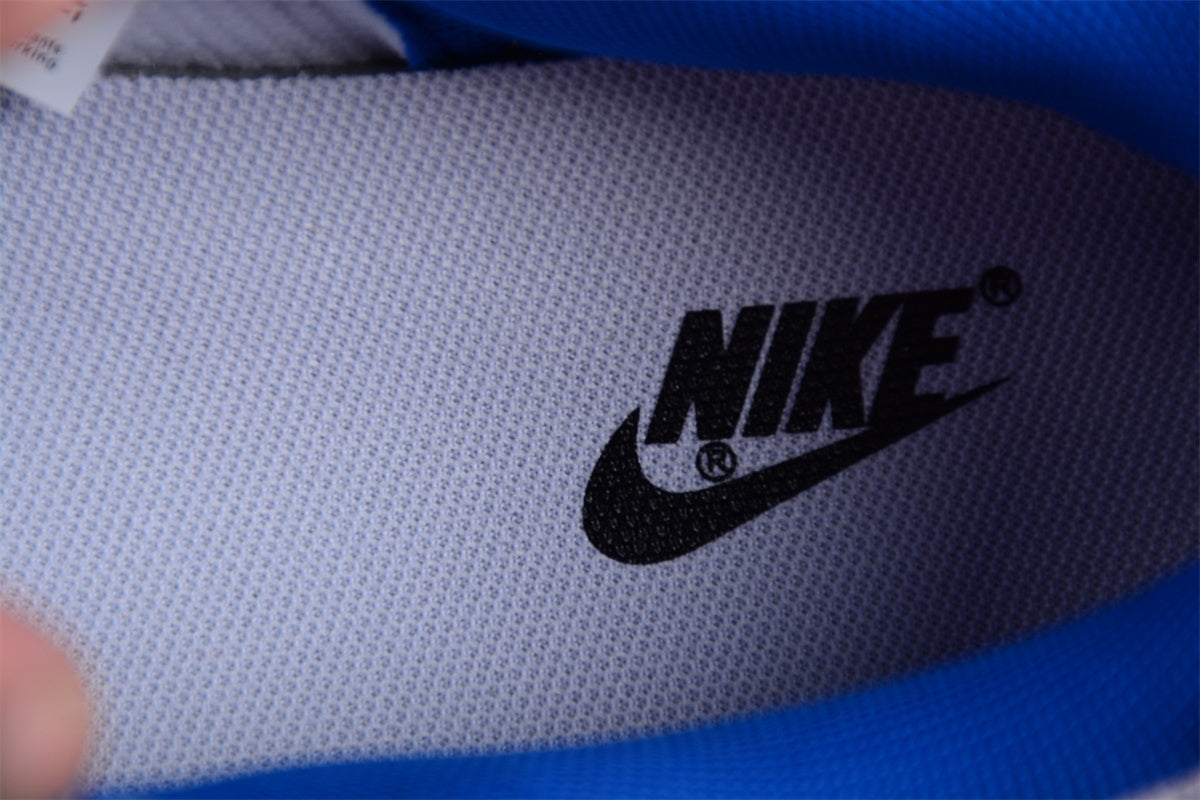 Dunk Low SB azul y blanco