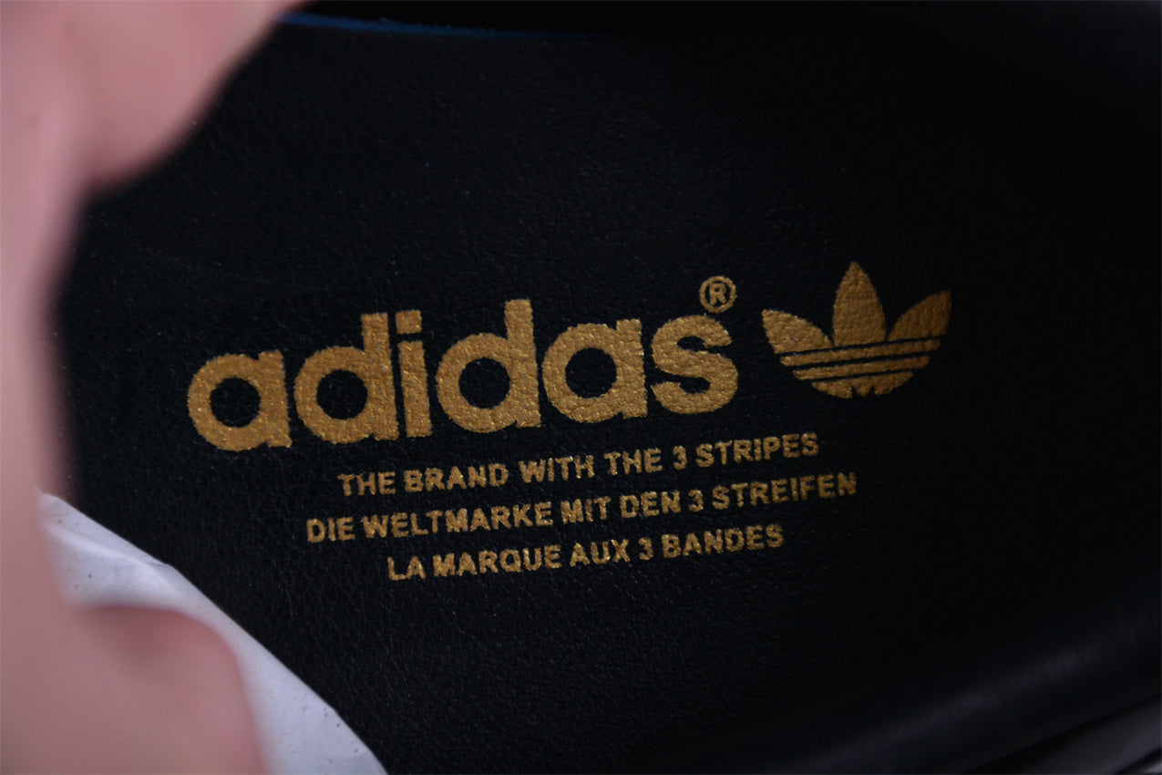 Gazelle negro brillante