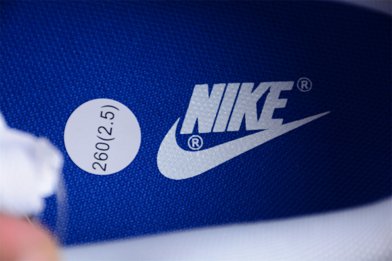 Dunk Low azul y blanco