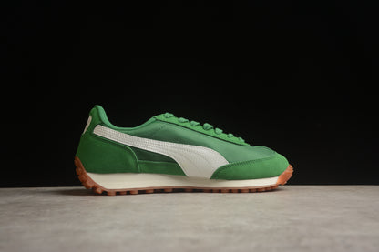 Easy Rider Vintage verde y blanco